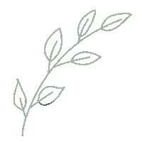 EndearingOrchid flower leaves deco branch Sticker