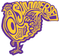 Logo Pelea Sticker by summersed
