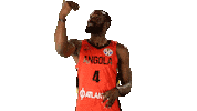 Game Basketball Sticker by FIBA