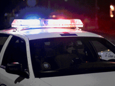 Flashing Lights Cops GIF
