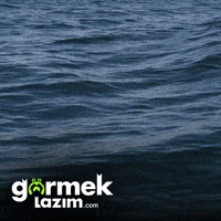 Shocked Surprise GIF by Görmek Lazım