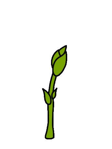 Flower Grow Sticker by Mother Pop