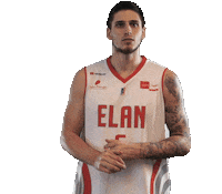 Basketball Bouquet Sticker by Elan Chalon