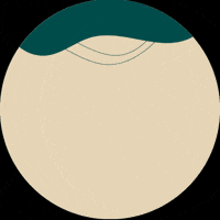 Direcionalwaveboaviagem GIF by direcionalvendas