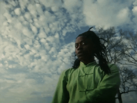 Hip Hop Fight GIF by Denzel Curry