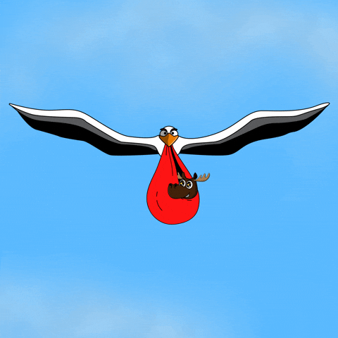 DoYouMoose baby nft delivery blockchain GIF