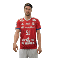 Handball Hamburg Sticker by DAIKIN HBL