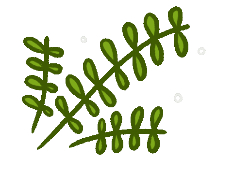 Plant Tree Sticker by Julia Gluyas