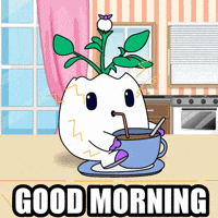 Energize Good Morning GIF by Magic Eden