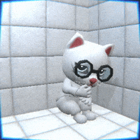 Cat Fear GIF