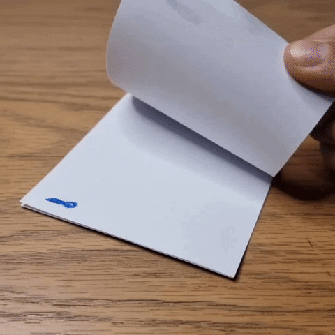 Stop Motion Art GIF by cintascotch