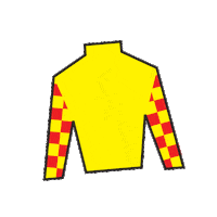 Horse Racing Sticker by Kentucky Derby