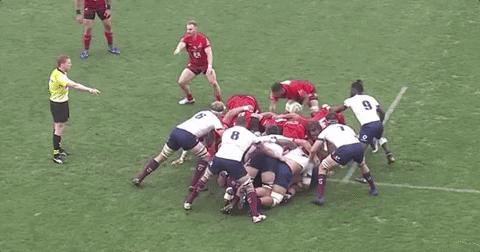 scott higginbottom two GIF