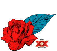 beyond wonderland alicia Sticker by DosEquis