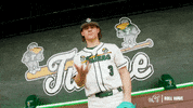 College Baseball Adam GIF by GreenWave