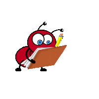 Fun Summer Sticker by kids cdv