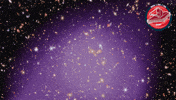 X-Ray X GIF by ESA Webb Space Telescope