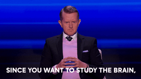 Game Show Brain GIF by ABC Network