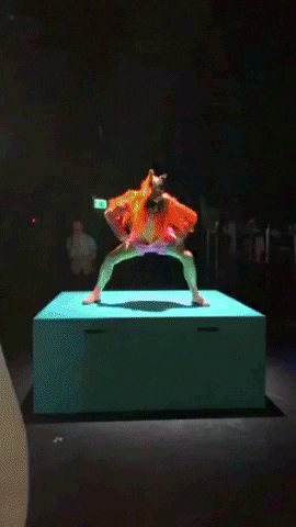 bricecatherin giphygifmaker alma toaspern GIF