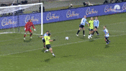 Celebration Goal GIF by Football Australia