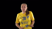 Hcl Hbf GIF by Handball Bundesliga Frauen