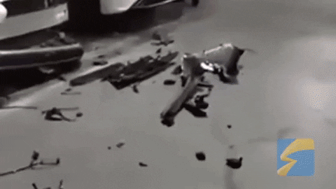 cuteanimalland giphyupload GIF