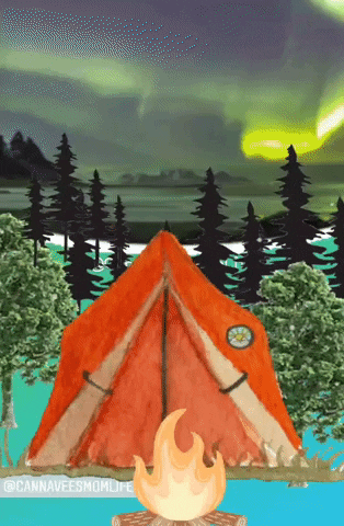 Campfire Camping GIF by VeeUtiful