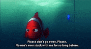 finding nemo stay GIF