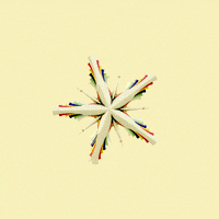 Loop Flower GIF by xponentialdesign