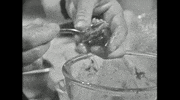 Food Cooking GIF by Julia Child
