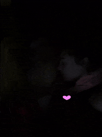 United Love GIF by LindaDurbesson