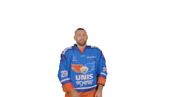 Hockey Den Sticker by UNIS Flyers