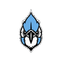 Blue Jays Mascot Sticker by Johns Hopkins University