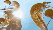 open season fall GIF by Sony Pictures Animation