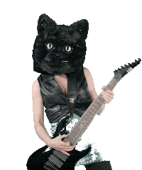 dnapps music cat cats guitar Sticker