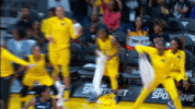 oh yeah yes GIF by WNBA