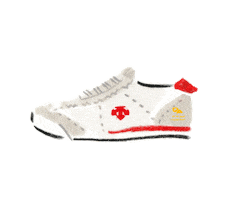 데상트블랭크 Sticker by DESCENTE