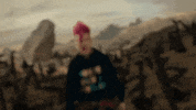 Dave Meyers GIF by P!NK