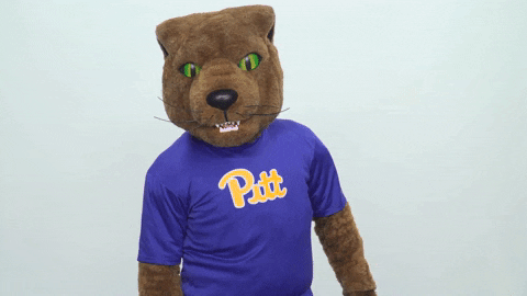 college sports football GIF by Pitt Panthers