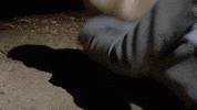 Fail Fall In Love GIF by JAWNY