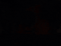 charlie brown GIF by Peanuts
