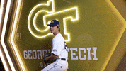 Georgia Tech Baseball GIF by Georgia Tech Yellow Jackets