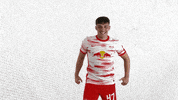Oh Yeah Yes GIF by RB Leipzig
