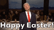Snl GIF by Saturday Night Live