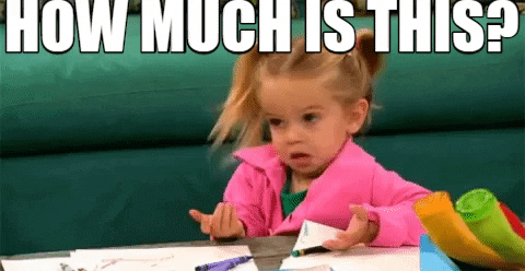 kristikirktrent giphygifmaker how much GIF