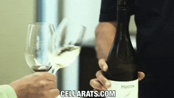 itascafilms wine fancy swish cellarats GIF