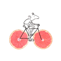 Pale Ale Summer Sticker