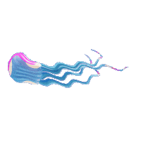 Music Festival Sticker by Baja Beach Fest