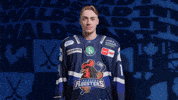 Celebration Hockey GIF by Iserlohn Roosters