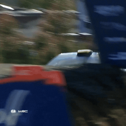 Flying Jumping Car GIF by FIA World Rally Championship